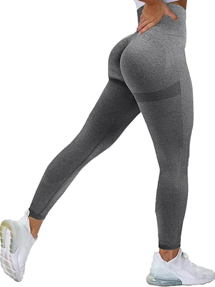 Women Seamless Workout Leggings - Jac Dancie